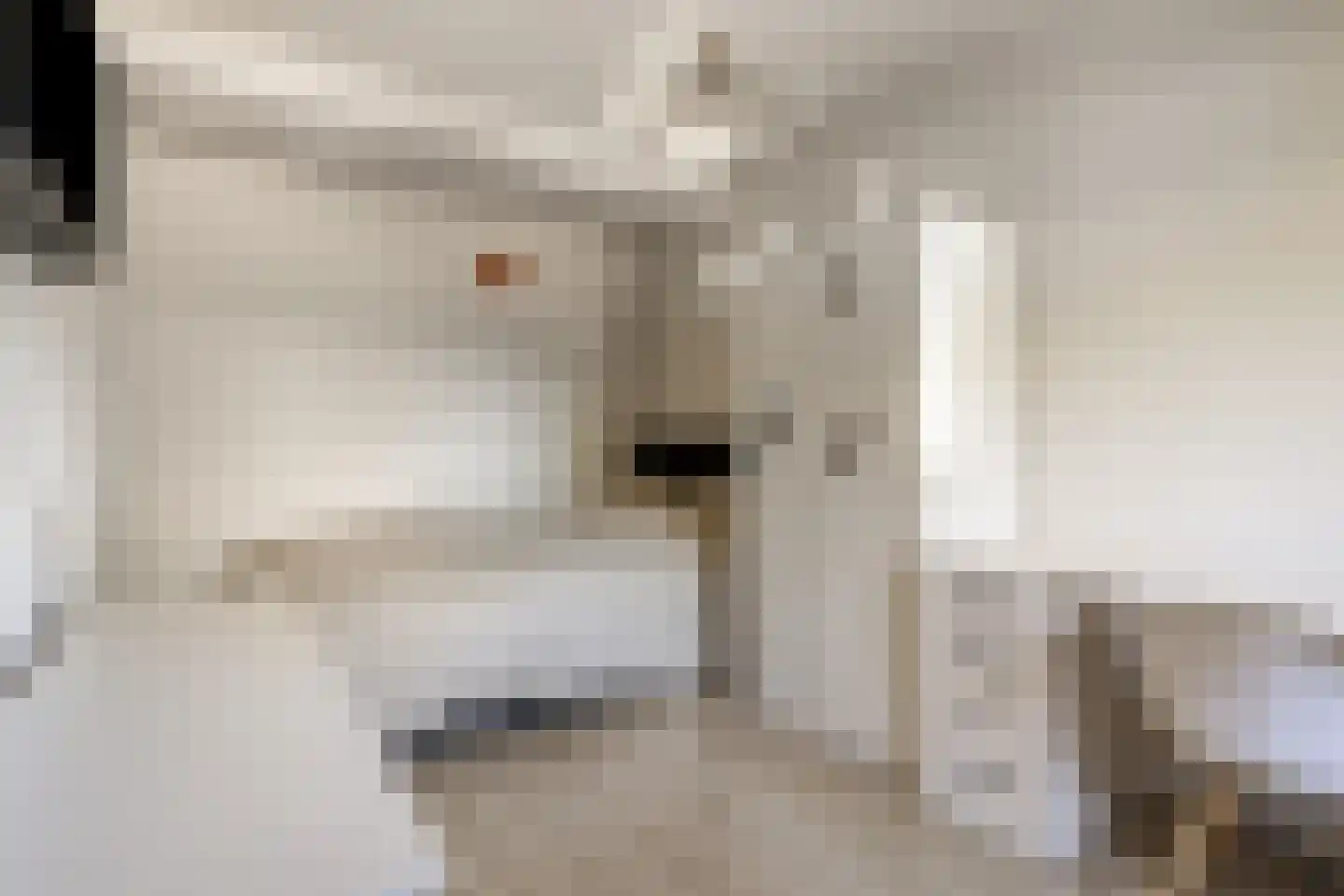 Willem Barentszlaan 8 Hulst thumbnail 19