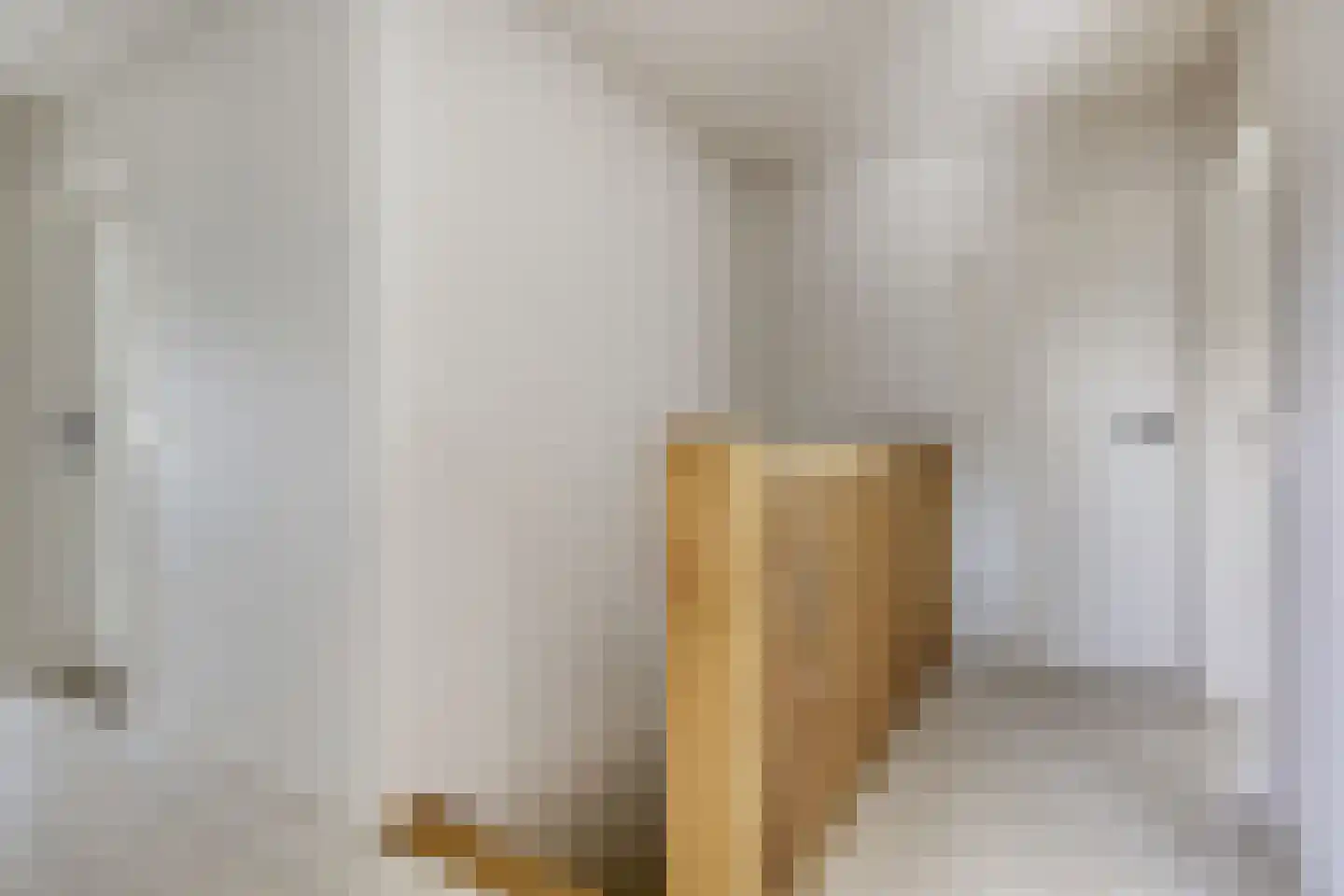 Willem Barentszlaan 8 Hulst thumbnail 22