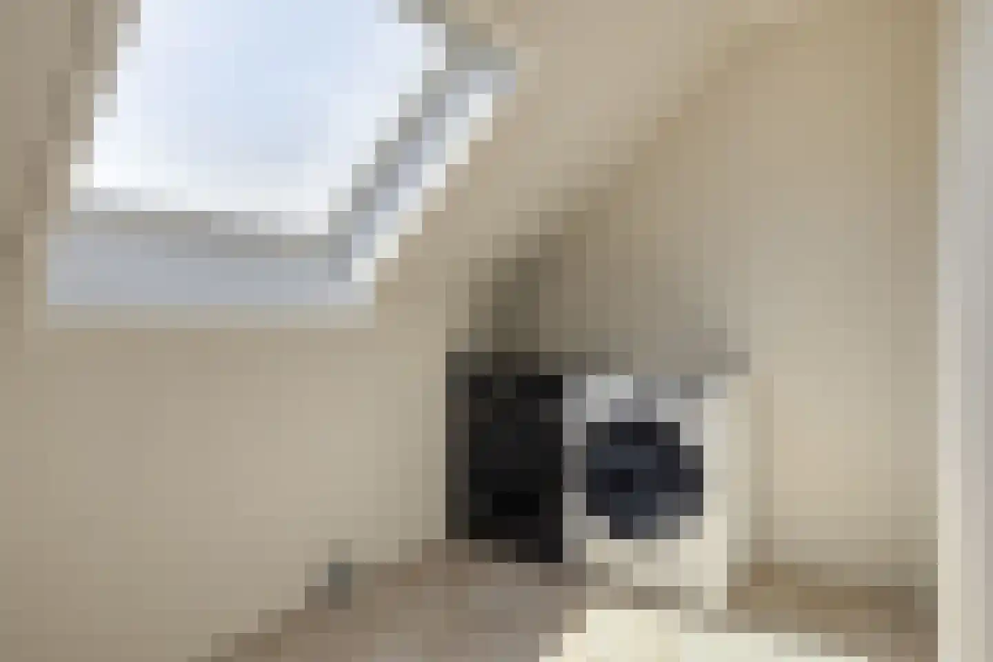 Willem Barentszlaan 8 Hulst thumbnail 31