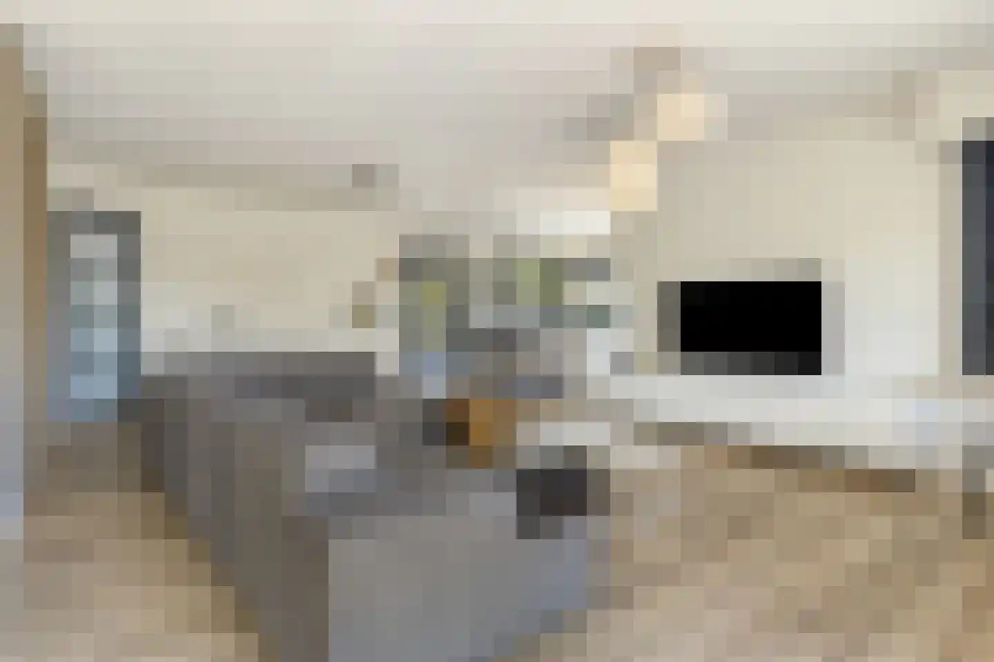 Willem Barentszlaan 8 Hulst thumbnail 9