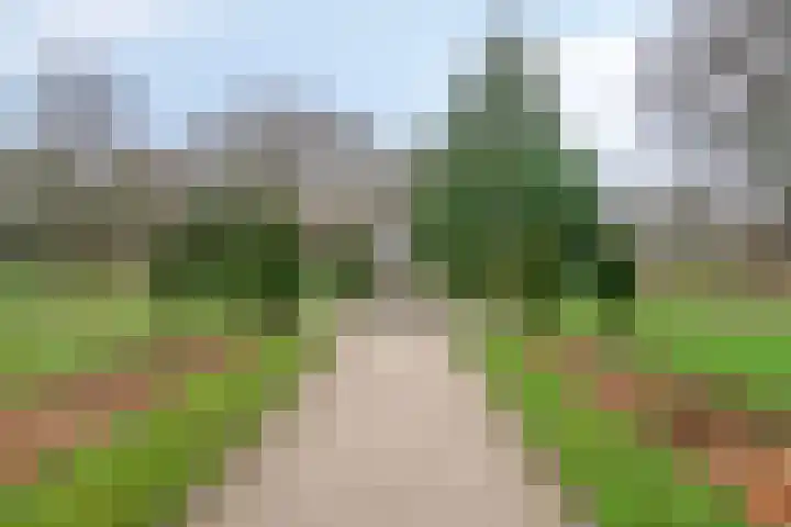 Willem Barentszlaan 84 Baarn thumbnail 27