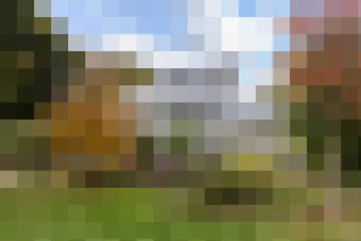 Willem Barentszlaan 86 Baarn thumbnail 32