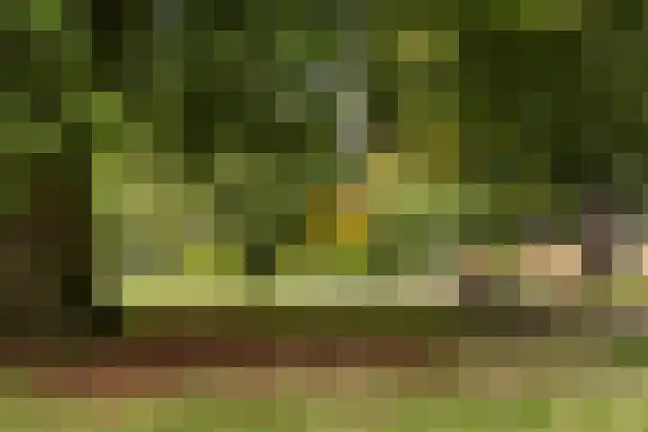 Willem Barentszlaan 86 Baarn thumbnail 33