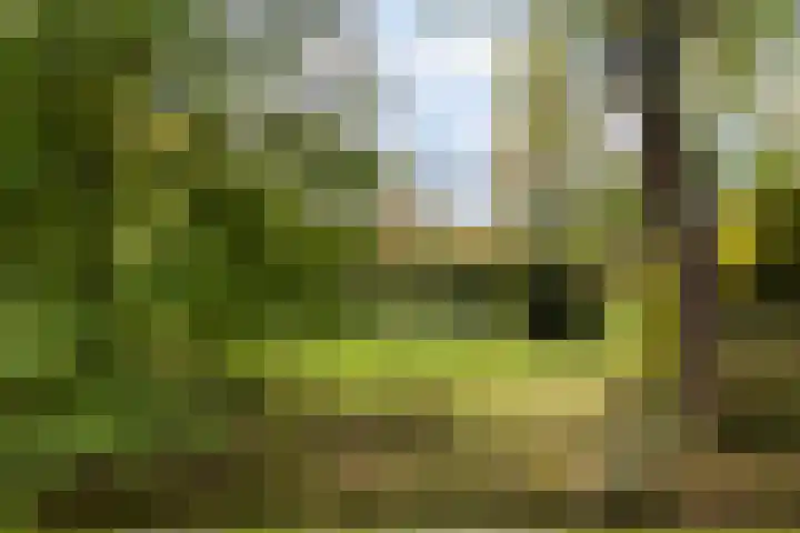 Willem Barentszlaan 86 Baarn thumbnail 36