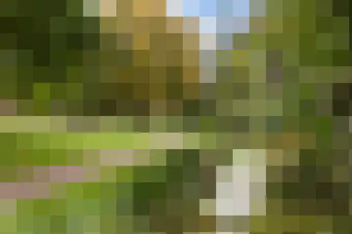 Willem Barentszlaan 86 Baarn thumbnail 37
