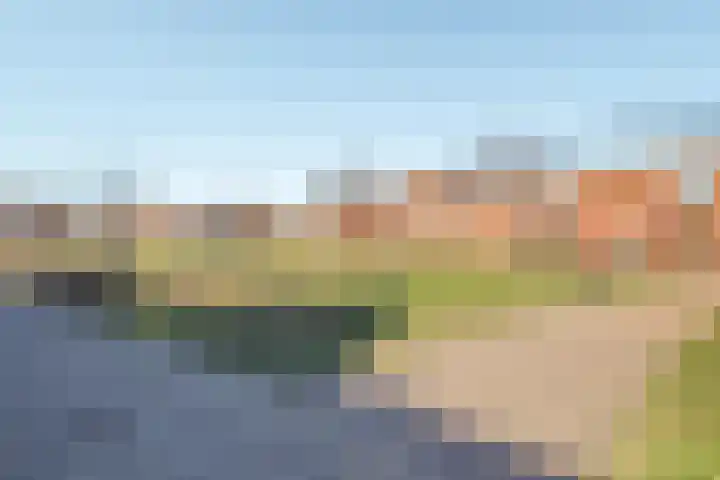 Willem Barentszroute 84 Almere thumbnail 37