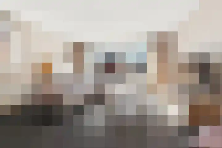 Willem Barentszroute 84 Almere thumbnail 8