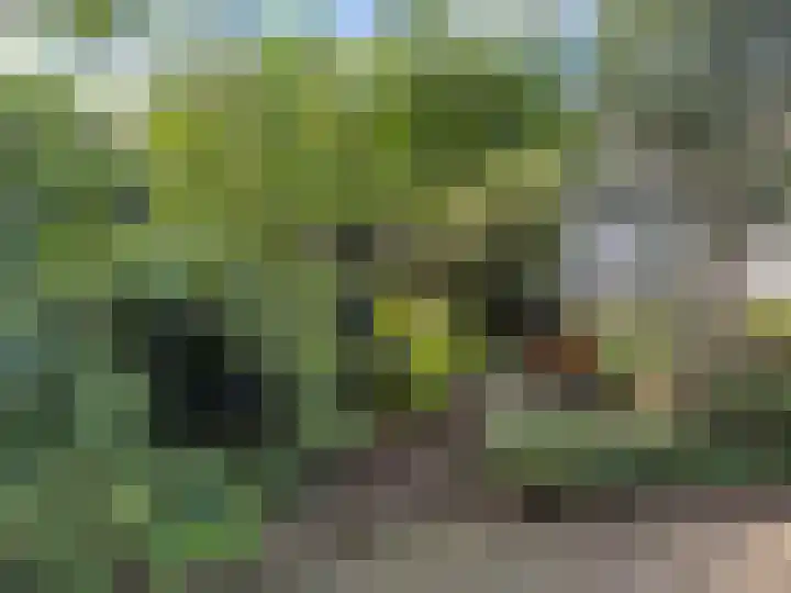 Willem Barentszstraat 10 Rheden thumbnail 30