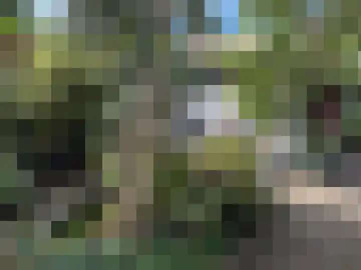 Willem Barentszstraat 10 Rheden thumbnail 31