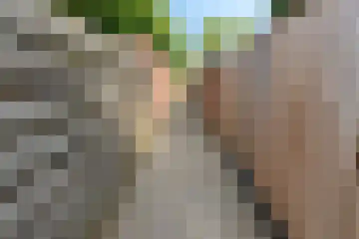 Willem Barentszstraat 10 Rheden thumbnail 35