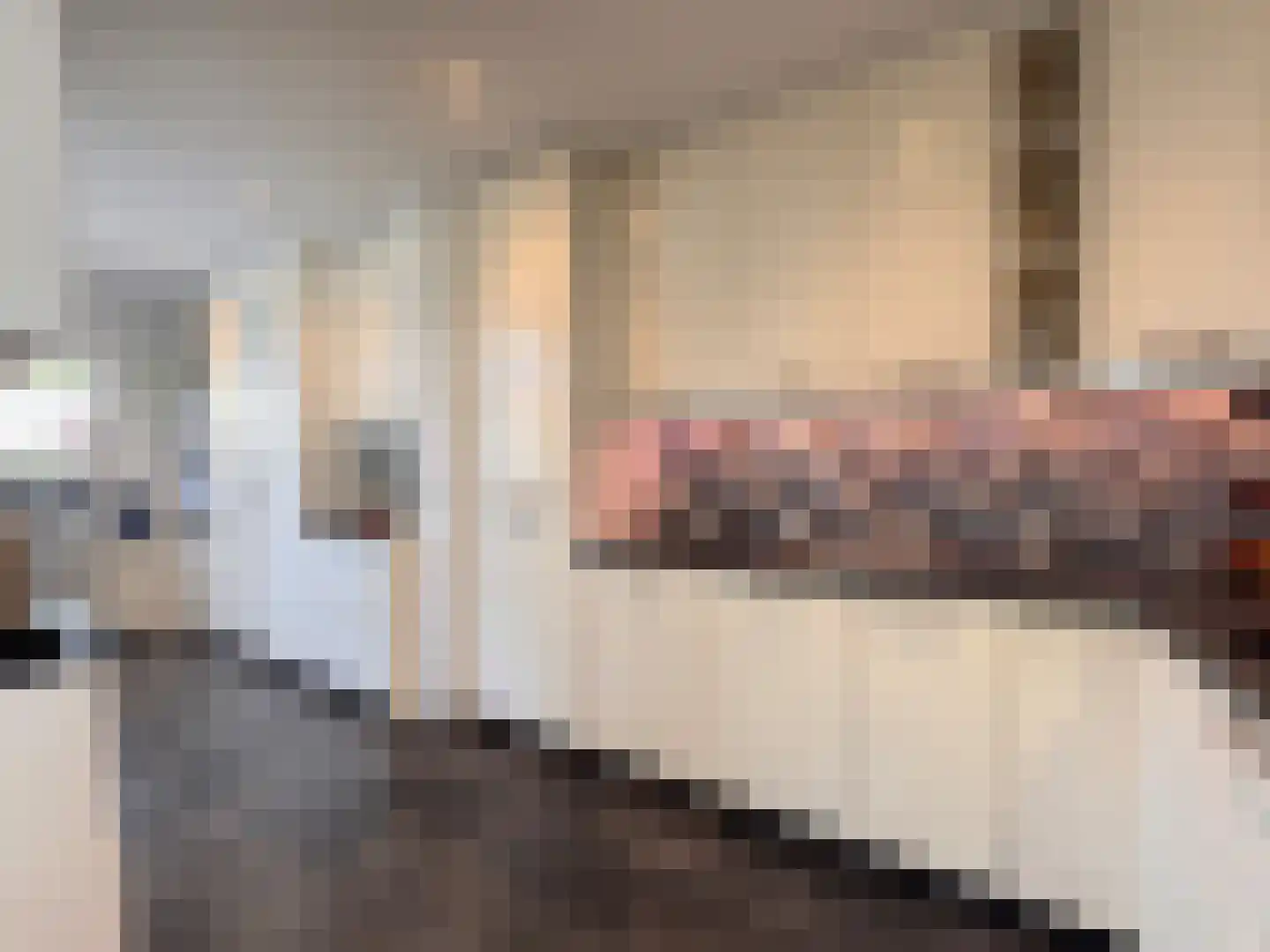 Willem Barentszstraat 12 Terneuzen thumbnail 10