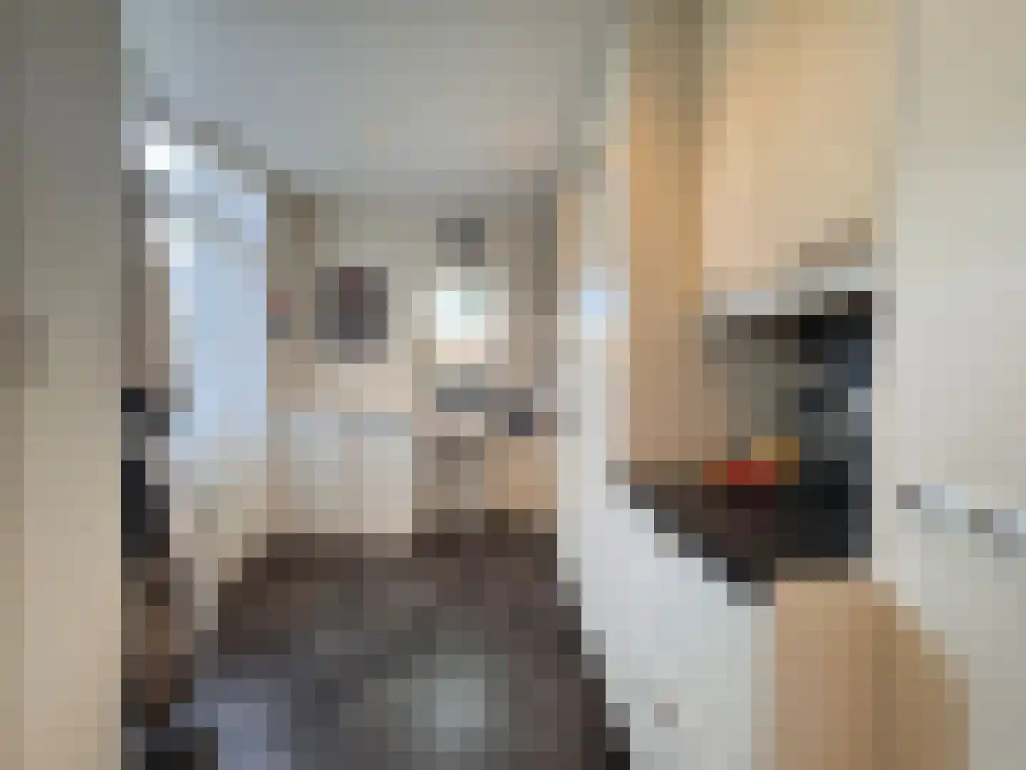 Willem Barentszstraat 12 Terneuzen thumbnail 11