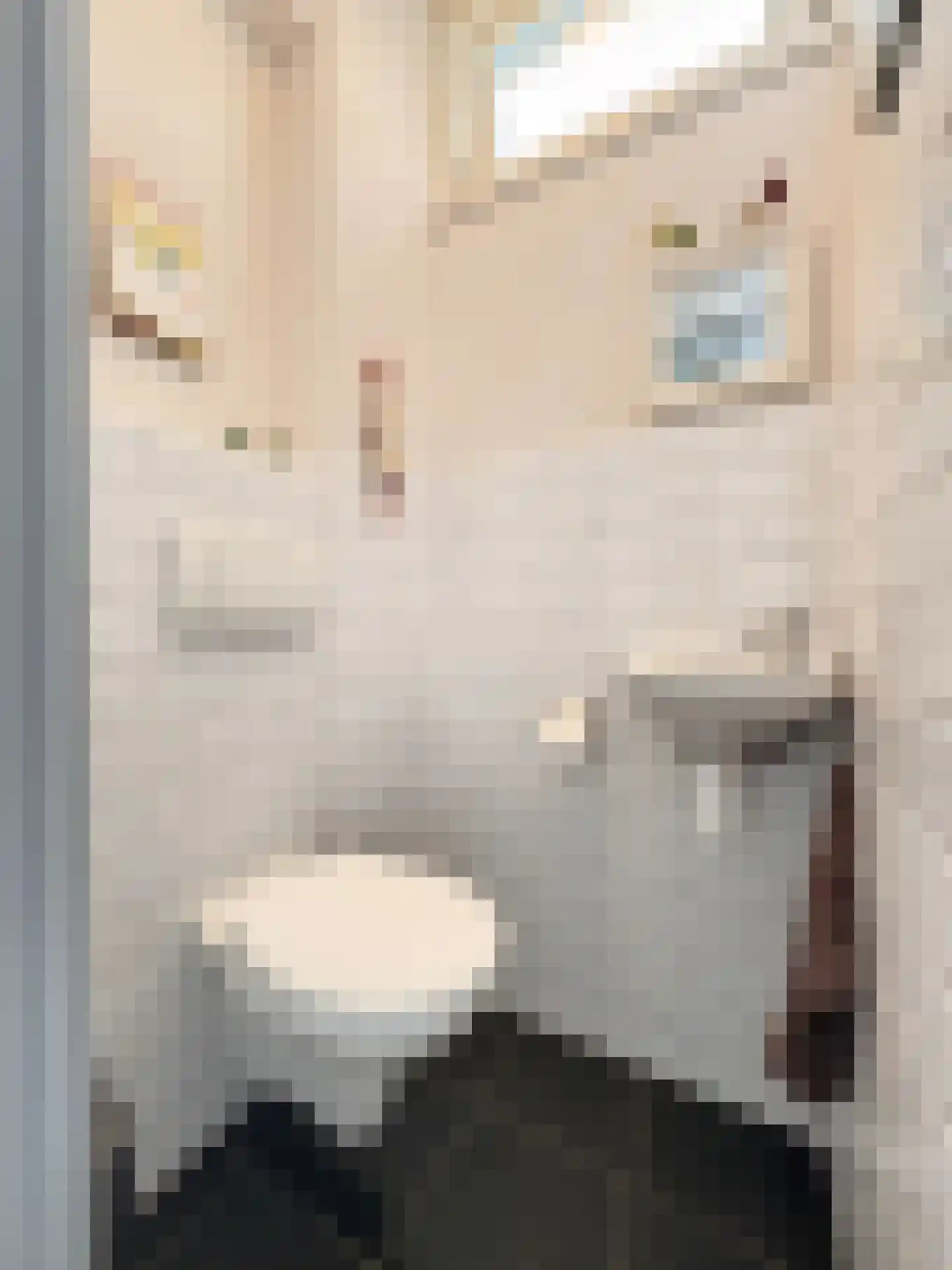 Willem Barentszstraat 12 Terneuzen thumbnail 12