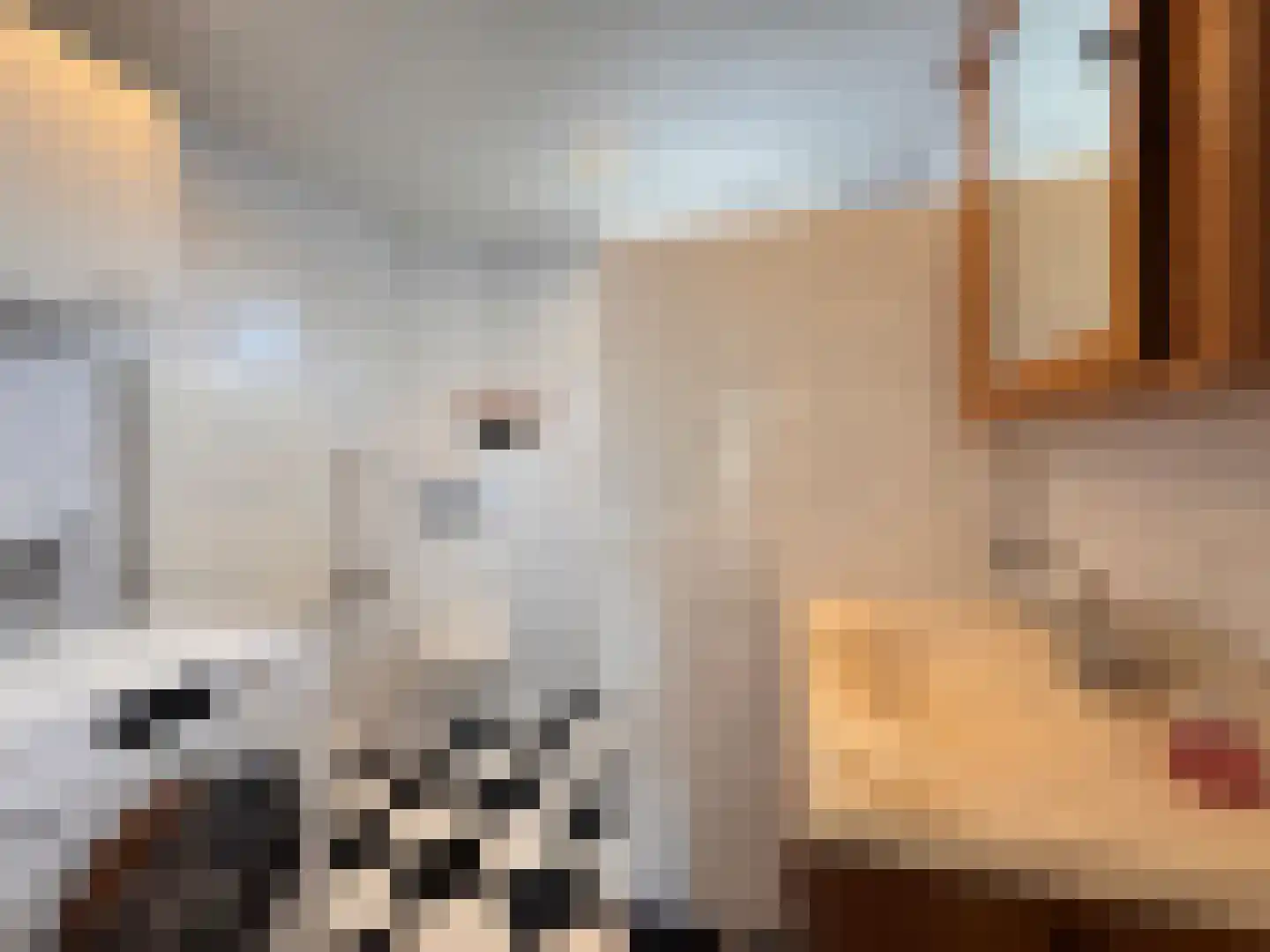 Willem Barentszstraat 12 Terneuzen thumbnail 16