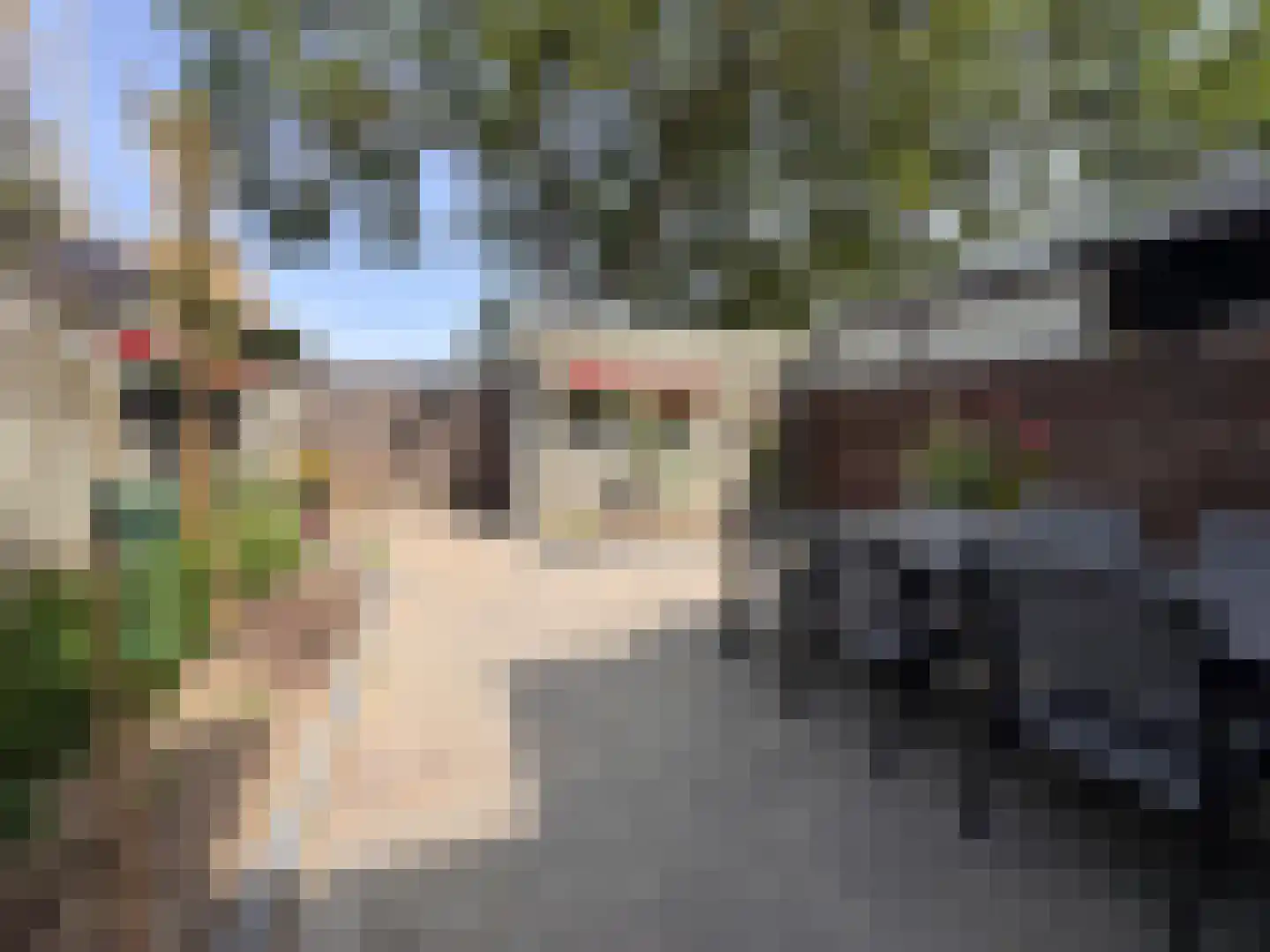 Willem Barentszstraat 12 Terneuzen thumbnail 21