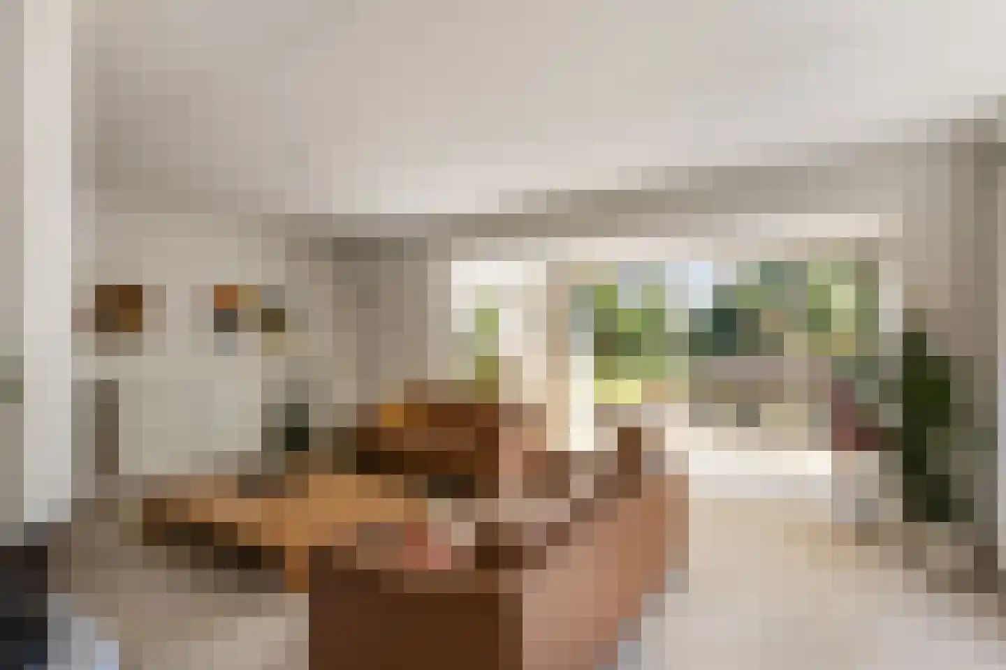 Willem Barentszstraat 13 Veenendaal thumbnail 12