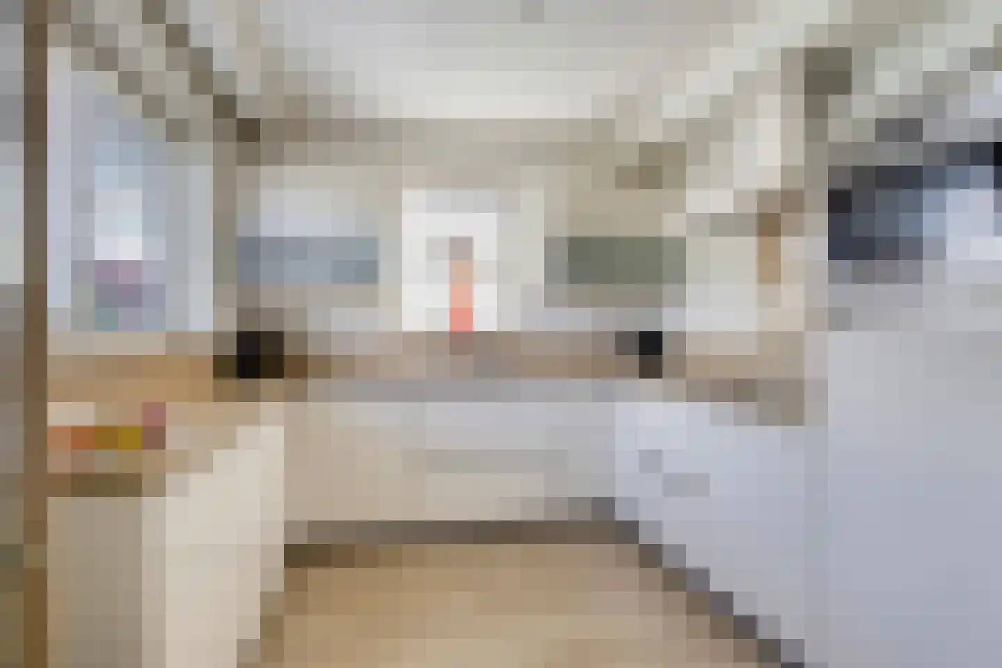 Willem Barentszstraat 13 Veenendaal thumbnail 4