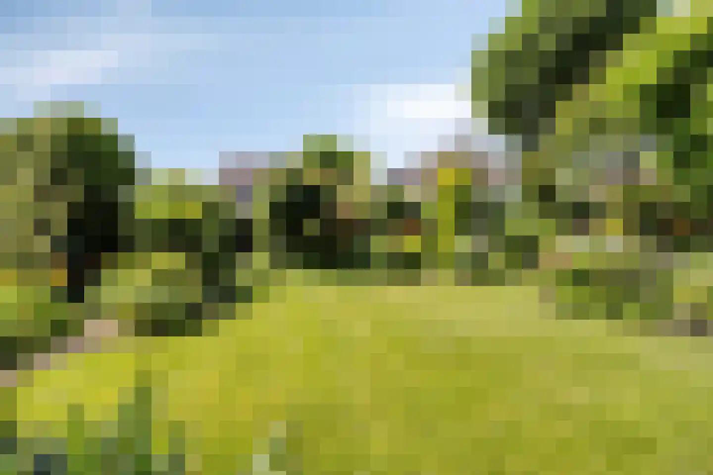 Willem Barentszstraat 13 Veenendaal thumbnail 5