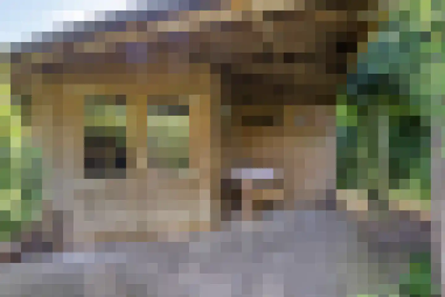 Willem Barentszstraat 13 Veenendaal thumbnail 54