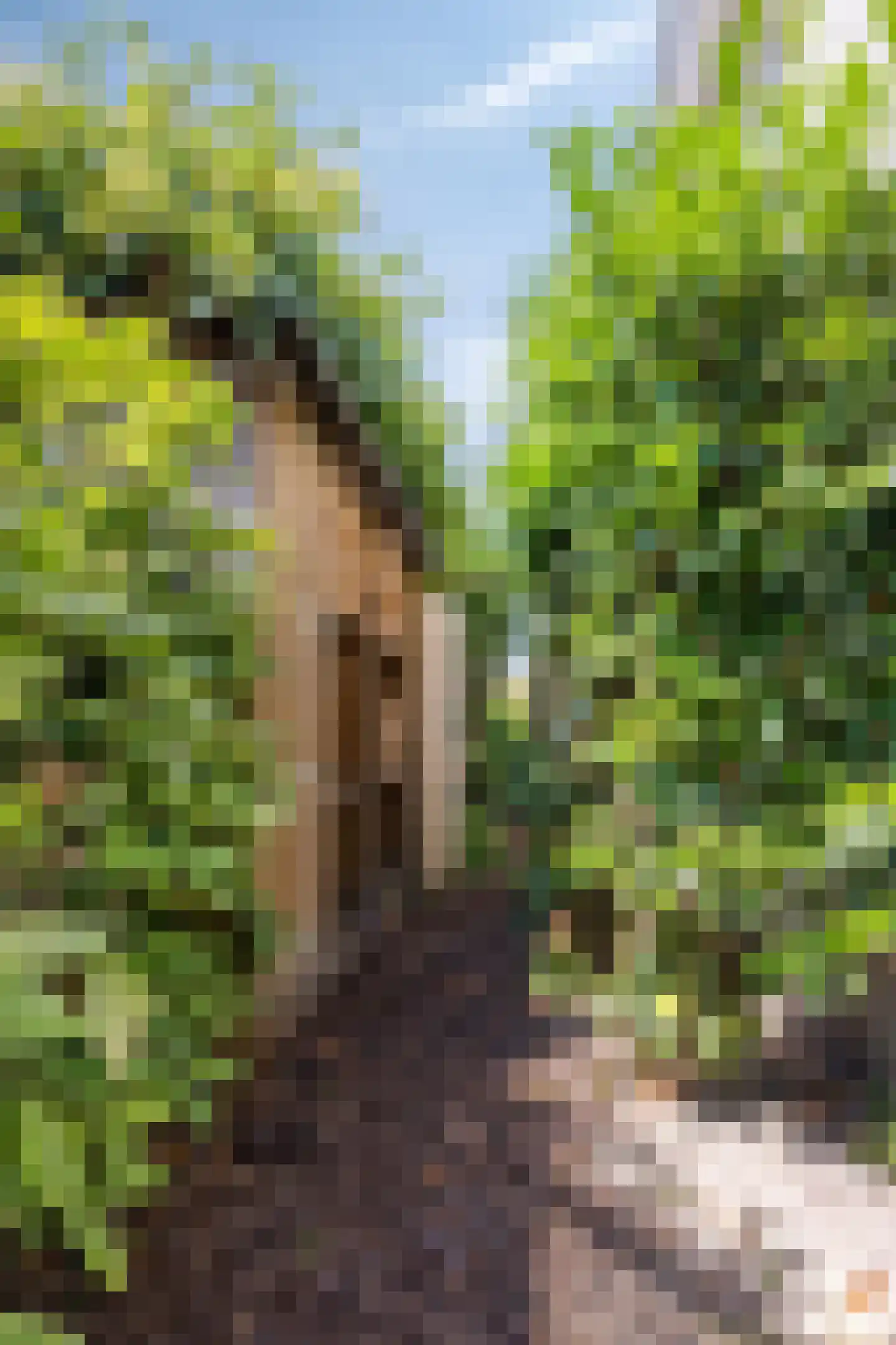 Willem Barentszstraat 13 Veenendaal thumbnail 55