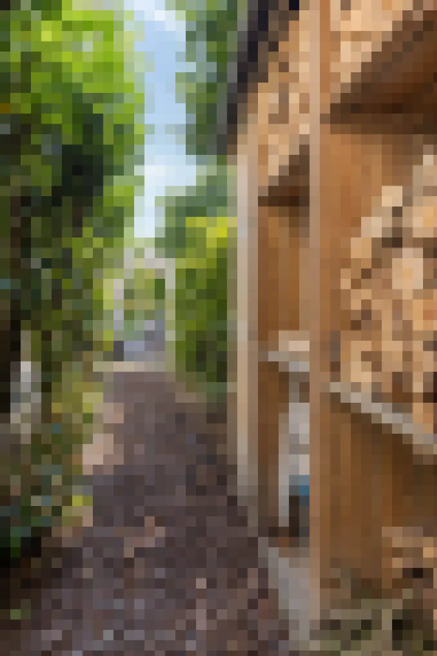 Willem Barentszstraat 13 Veenendaal thumbnail 56