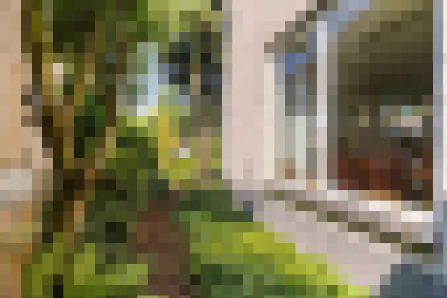 Willem Barentszstraat 13 Veenendaal thumbnail 57