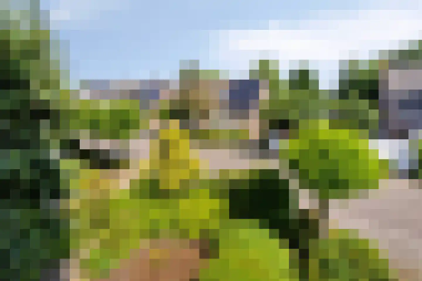 Willem Barentszstraat 13 Veenendaal thumbnail 60