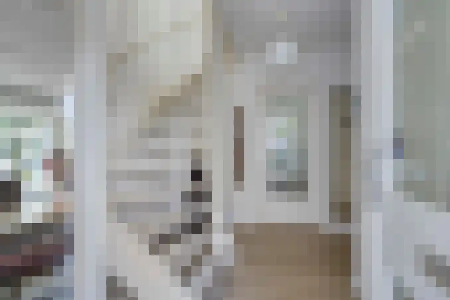 Willem Barentszstraat 13 Veenendaal thumbnail 7