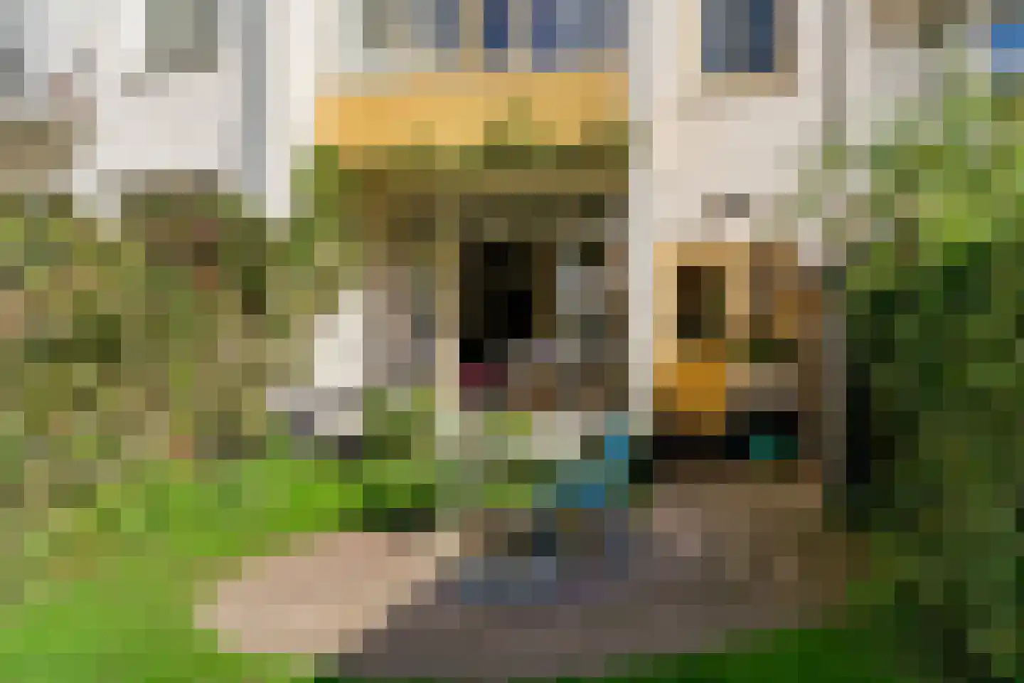 Willem Barentszstraat 14 Utrecht thumbnail 16