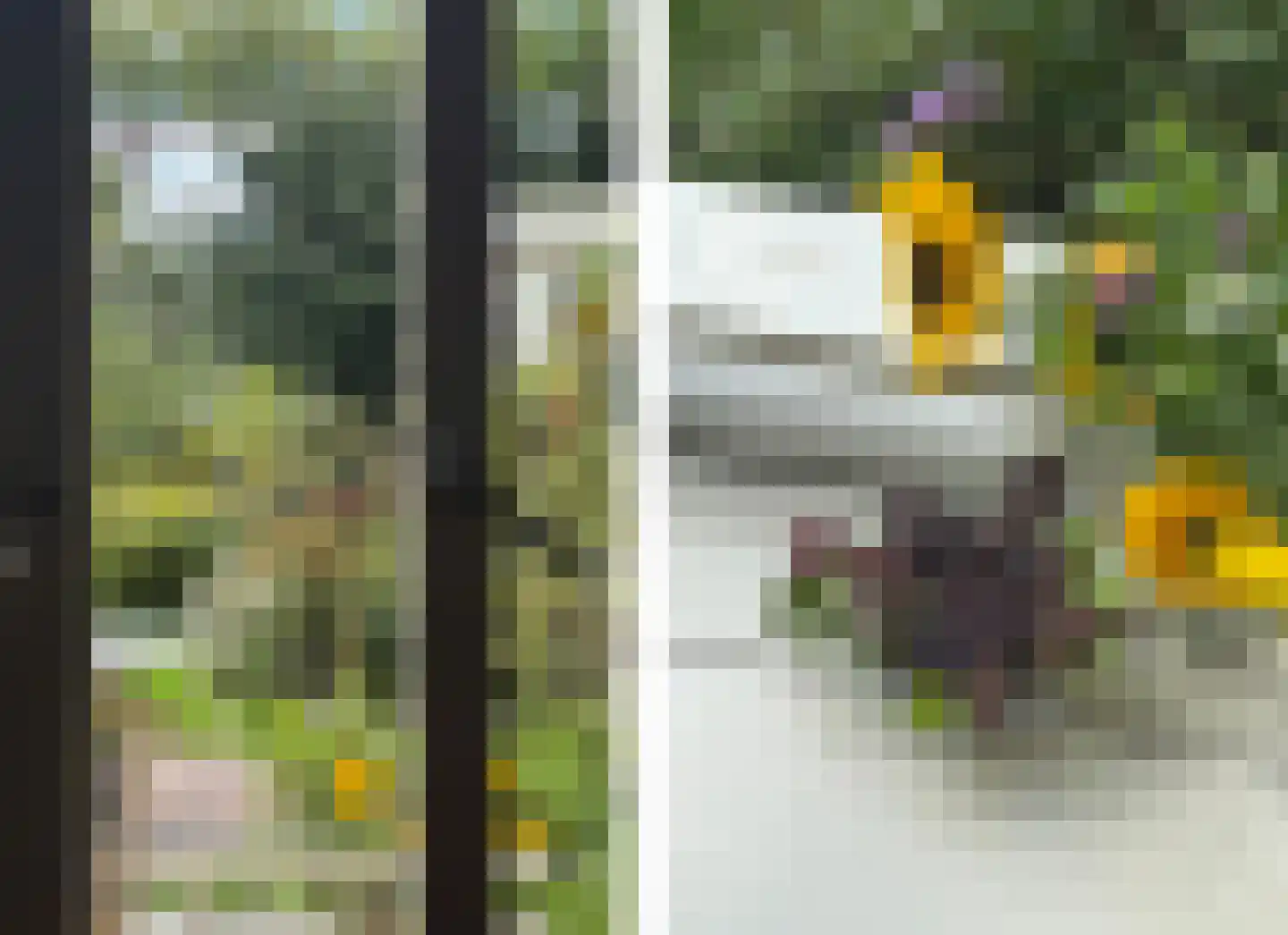 Willem Barentszstraat 14 Utrecht thumbnail 17