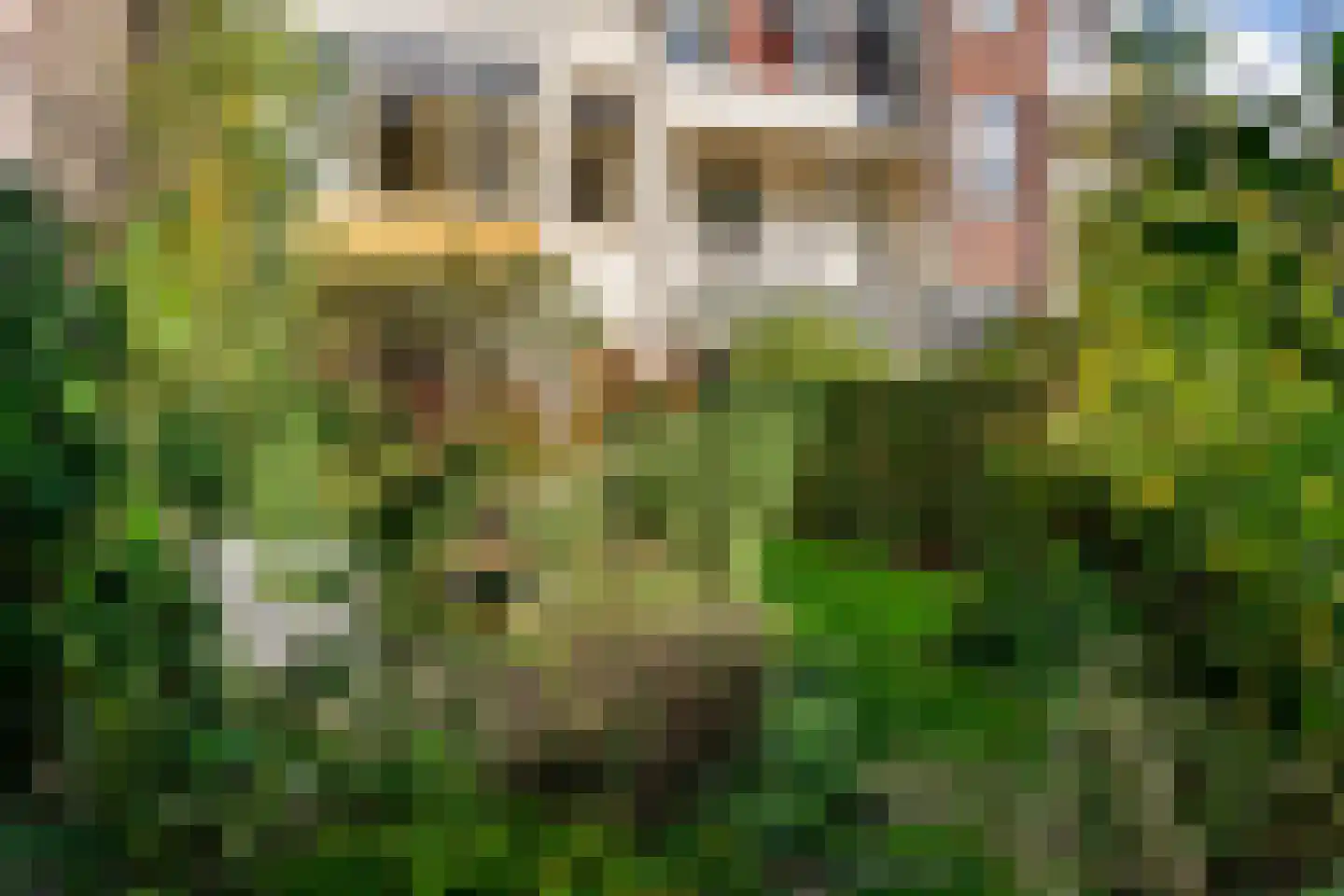 Willem Barentszstraat 14 Utrecht thumbnail 27
