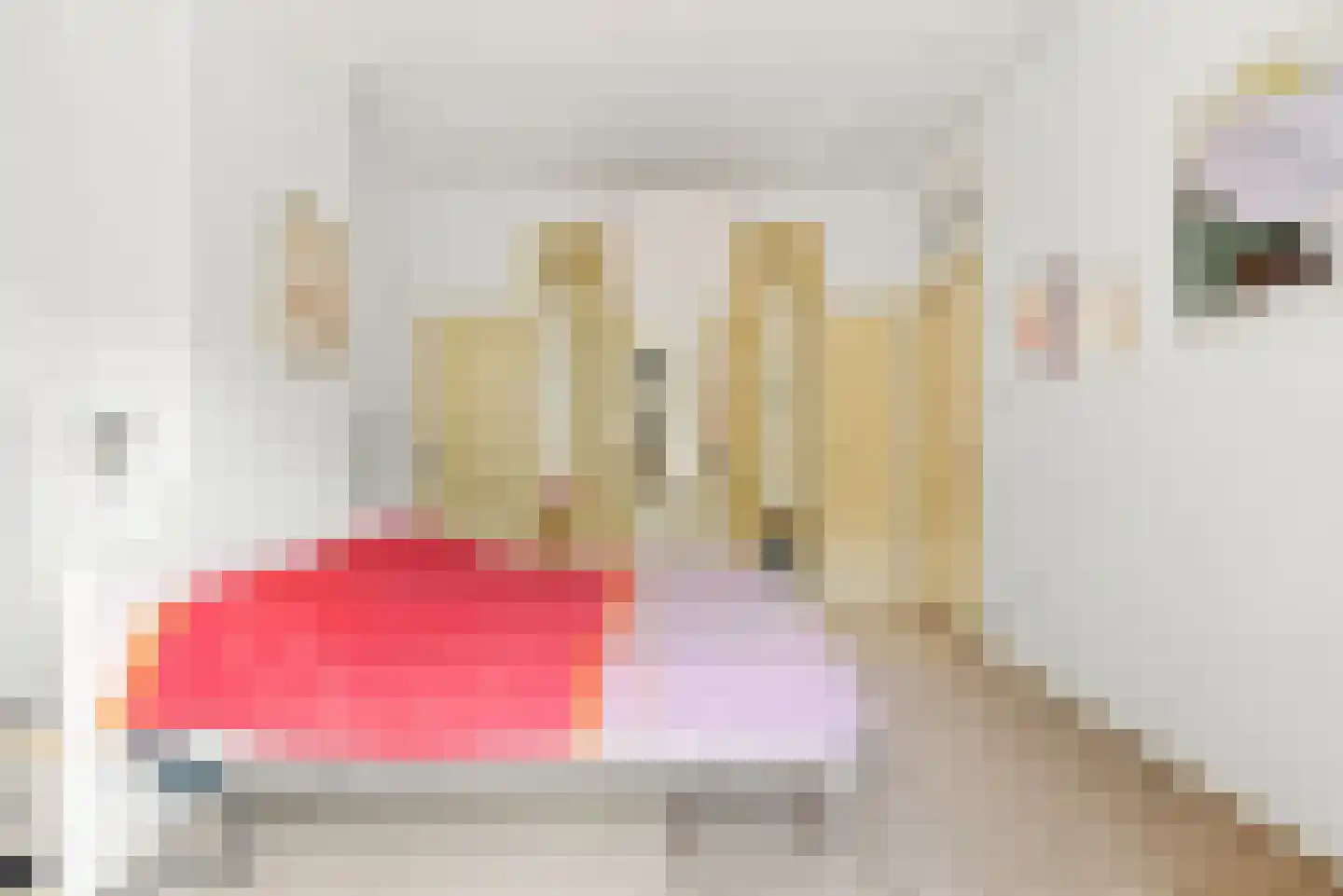Willem Barentszstraat 14 Utrecht thumbnail 36