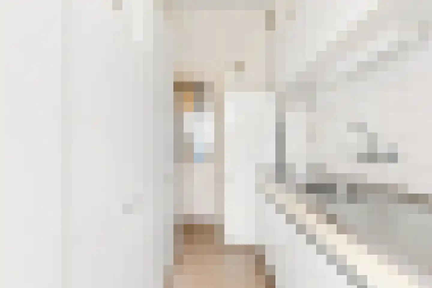 Willem Barentszstraat 14 Utrecht thumbnail 45