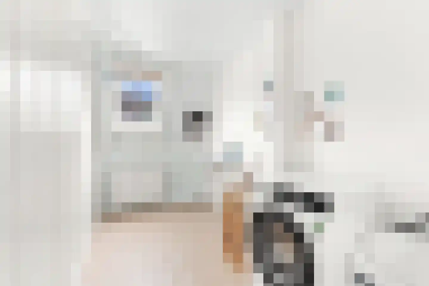 Willem Barentszstraat 14 Utrecht thumbnail 53