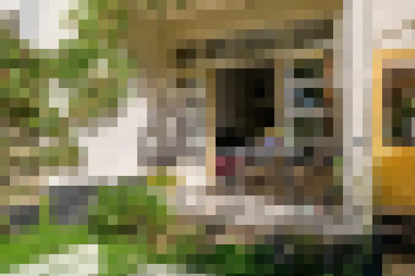 Willem Barentszstraat 14 Utrecht thumbnail 9
