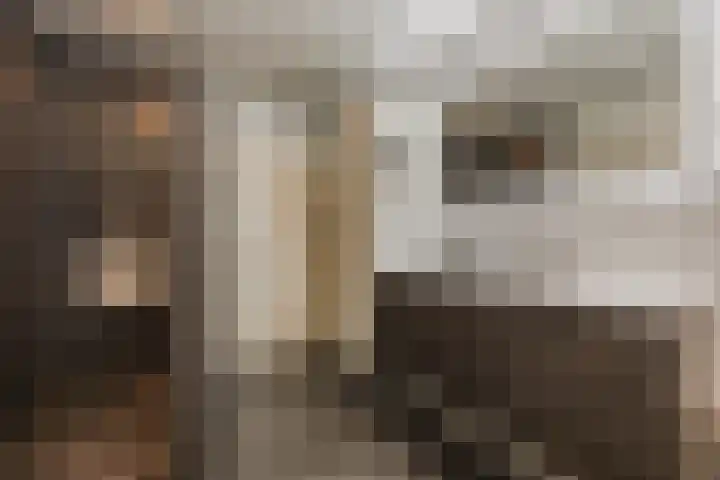 Willem Barentszstraat 14 Veghel thumbnail 23