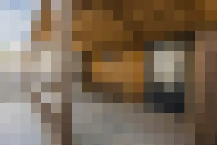 Willem Barentszstraat 14 Veghel thumbnail 33
