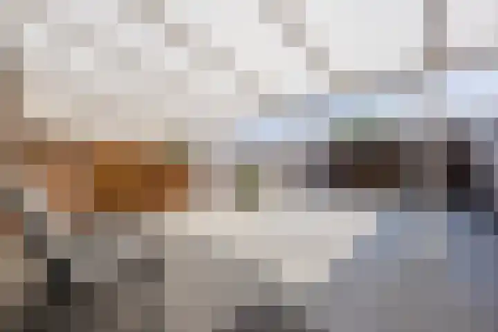 Willem Barentszstraat 14 Veghel thumbnail 5
