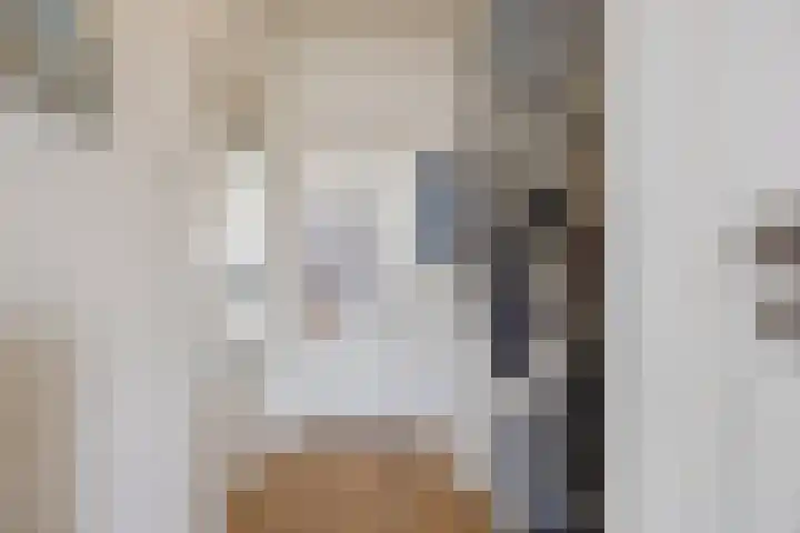 Willem Barentszstraat 14 Veghel thumbnail 8