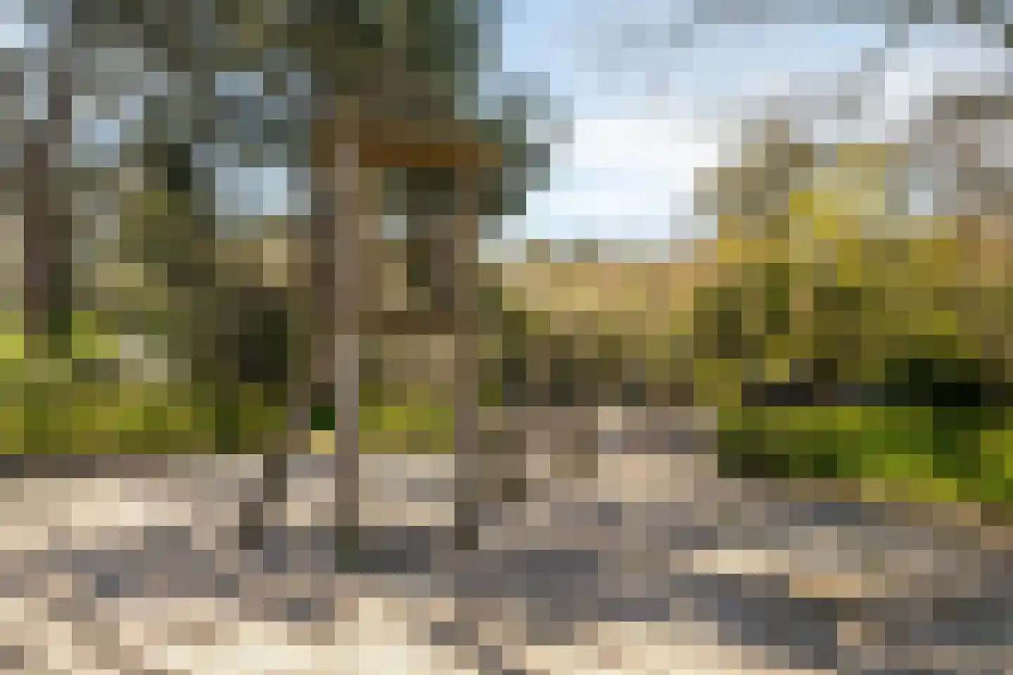 Willem Barentszstraat 15 Bussum thumbnail 38