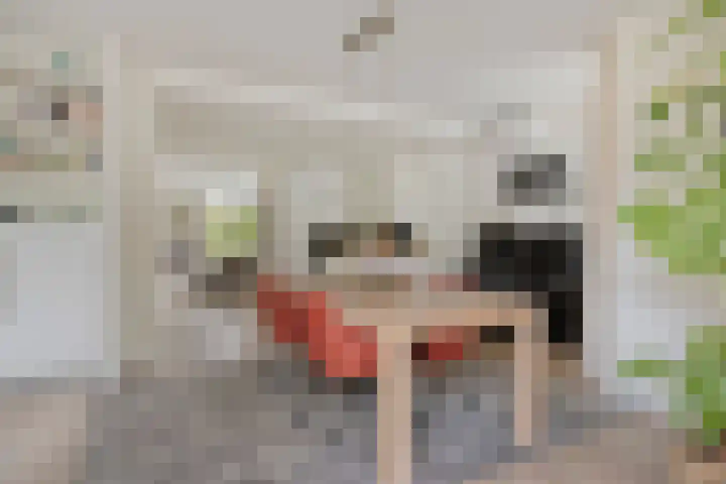Willem Barentszstraat 15 Veenendaal thumbnail 16