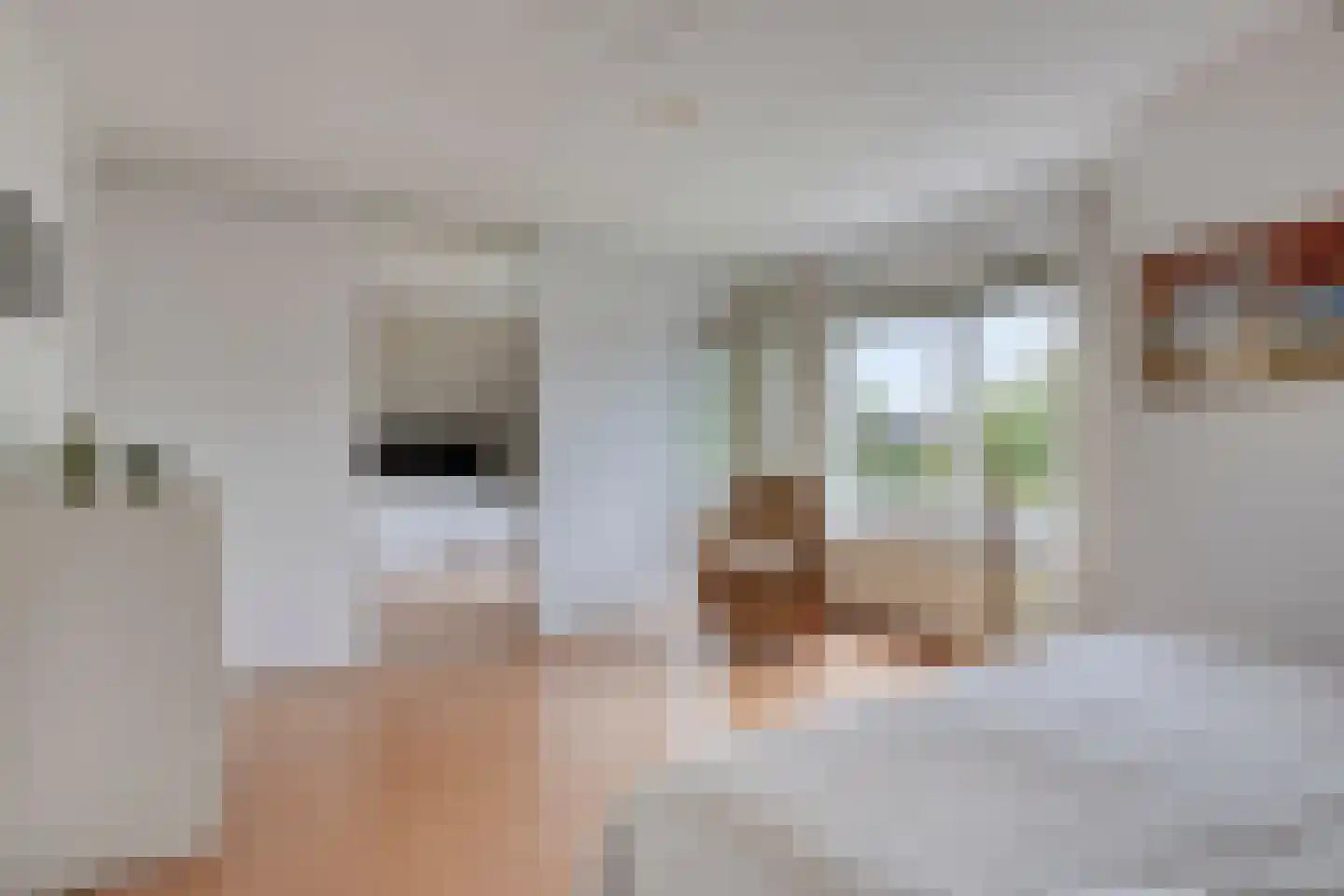 Willem Barentszstraat 15 Veenendaal thumbnail 27