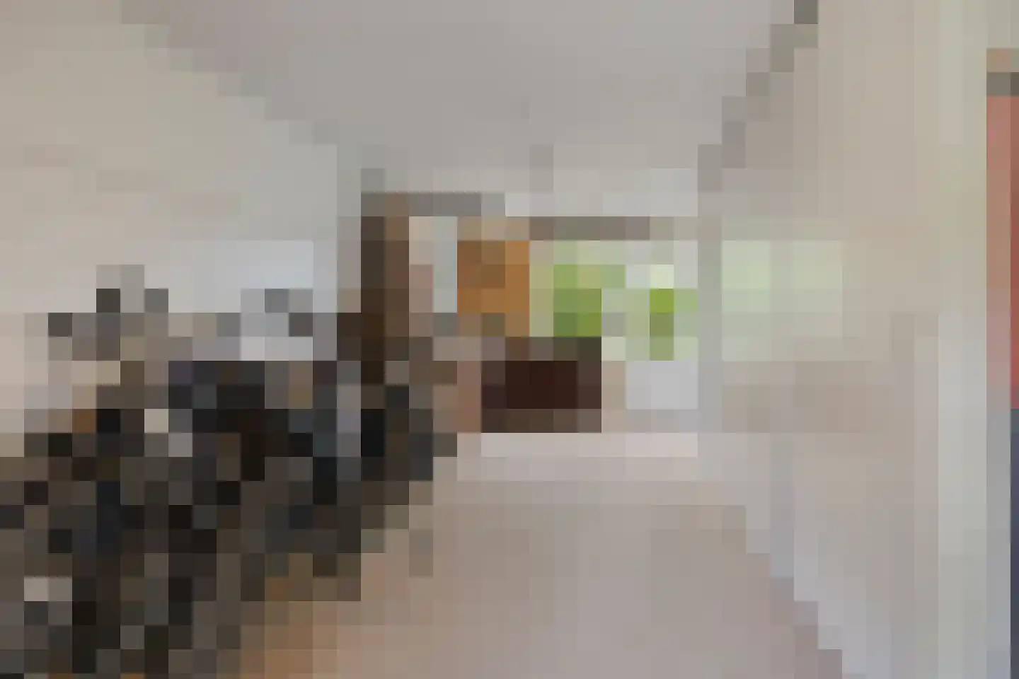 Willem Barentszstraat 15 Veenendaal thumbnail 48