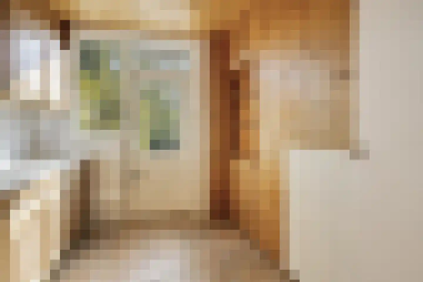 Willem Barentszstraat 17 Rheden thumbnail 10