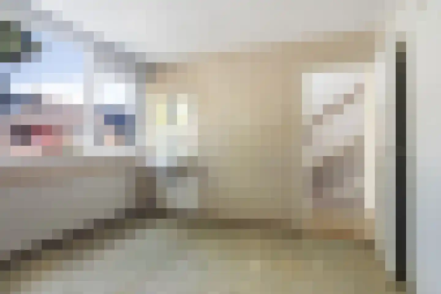 Willem Barentszstraat 17 Rheden thumbnail 13