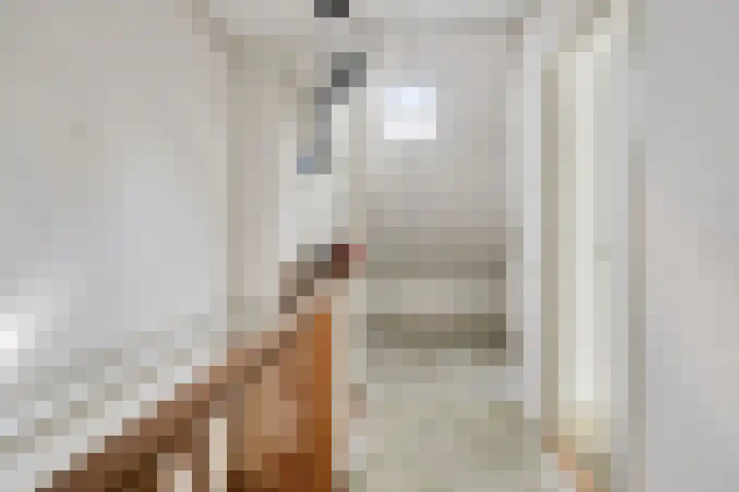 Willem Barentszstraat 17 Rheden thumbnail 20