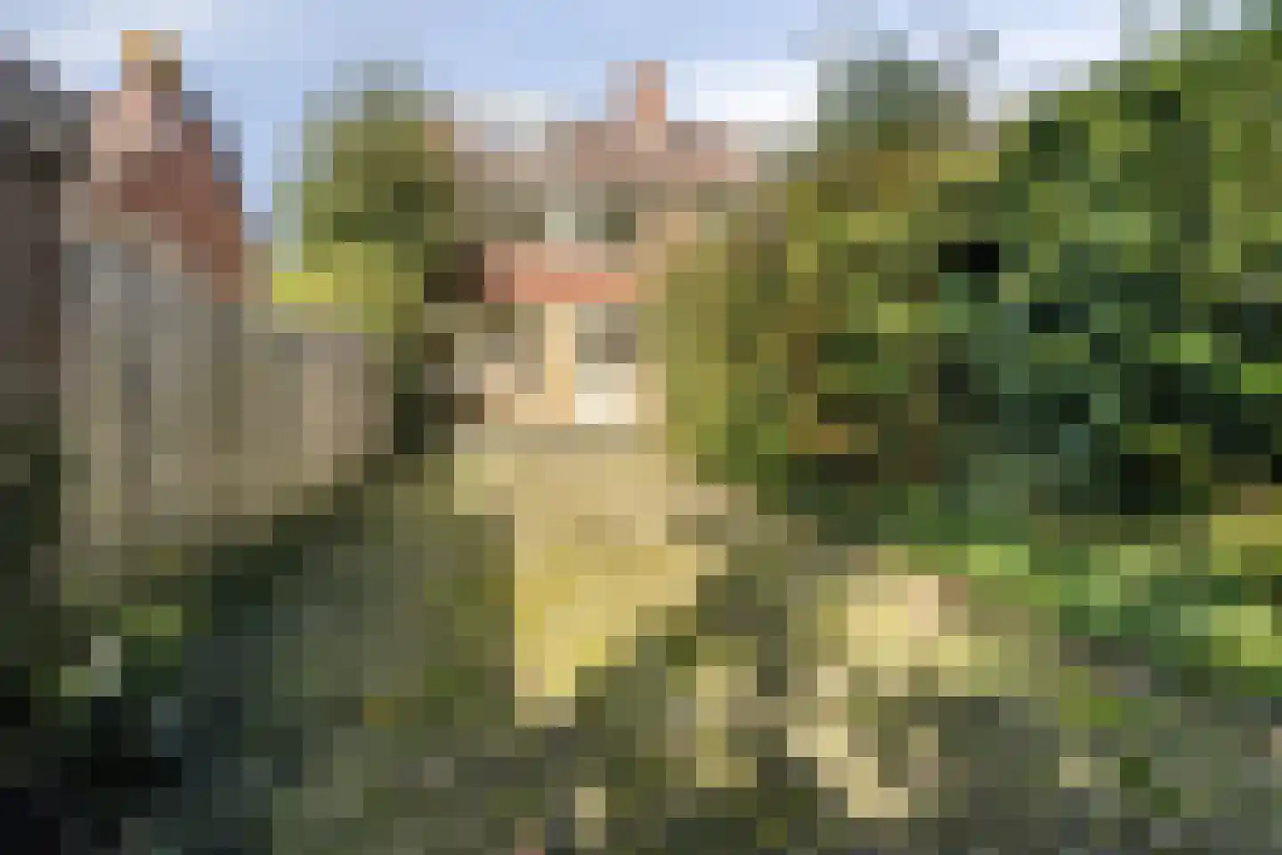 Willem Barentszstraat 17 Rheden thumbnail 23