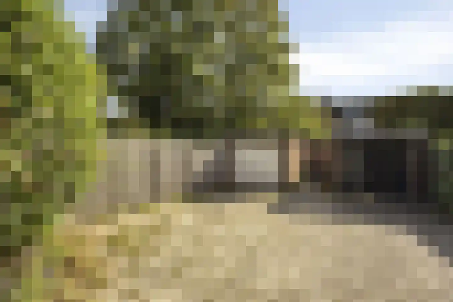 Willem Barentszstraat 17 Rheden thumbnail 24