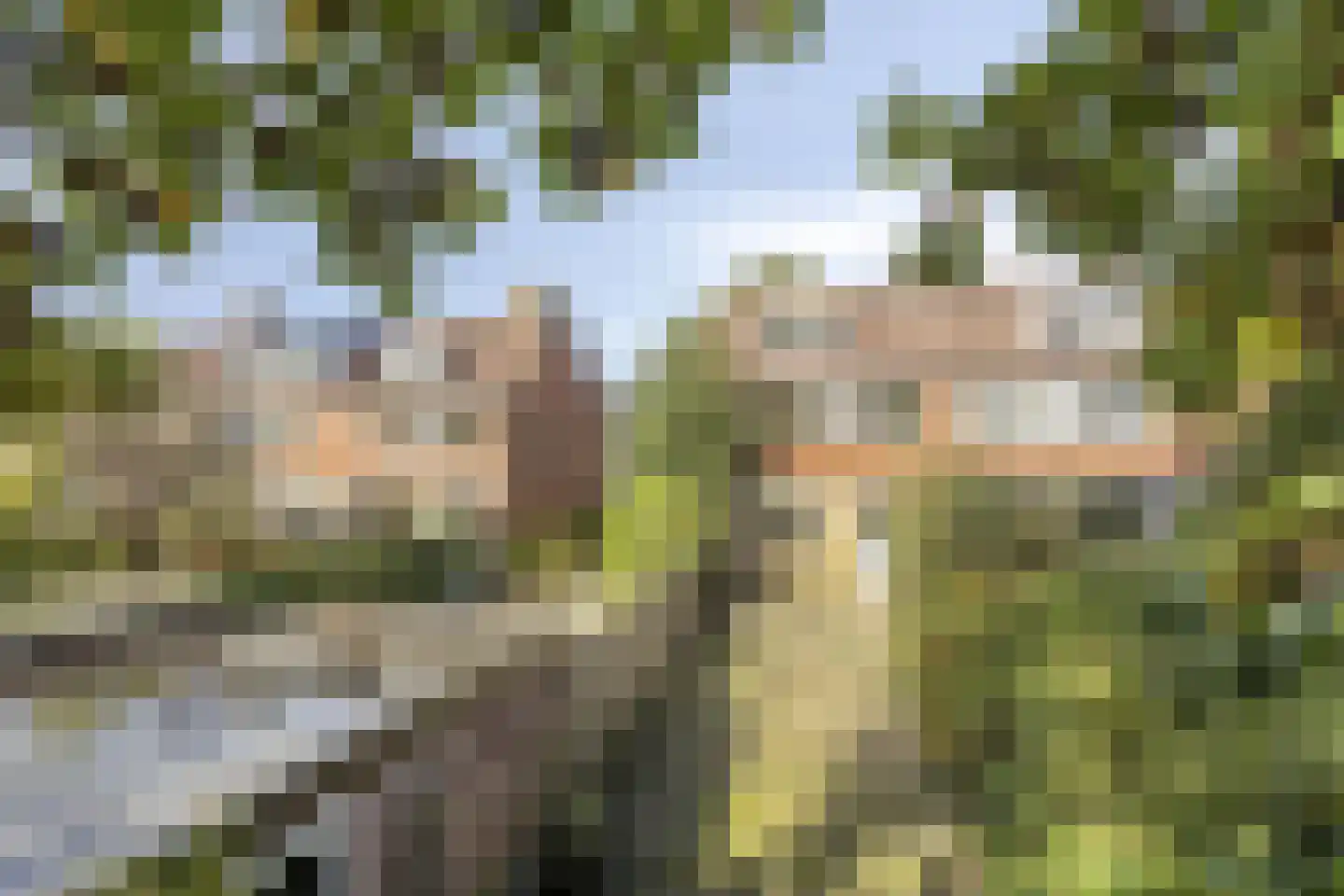 Willem Barentszstraat 17 Rheden thumbnail 26