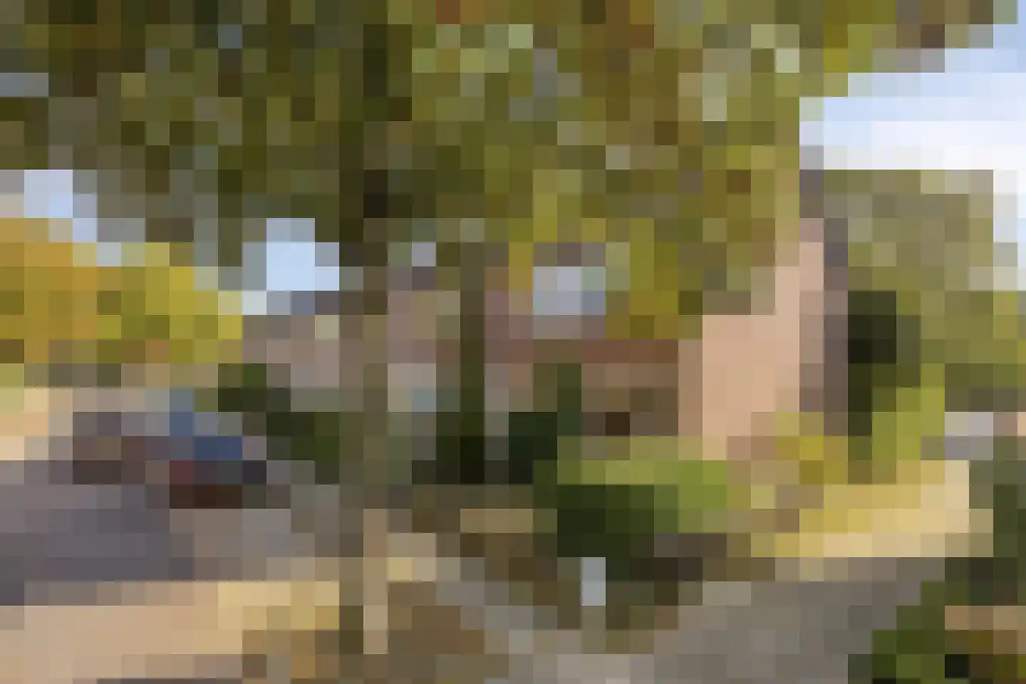 Willem Barentszstraat 17 Rheden thumbnail 30
